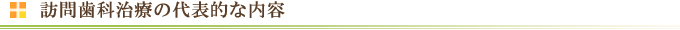 訪問歯科治療の代表的な内容